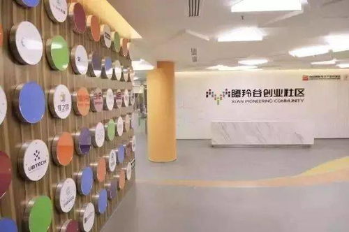 创业园再创佳绩 连续四年荣获孵化器考评A类资质，匠心打造卓越创业空间服务